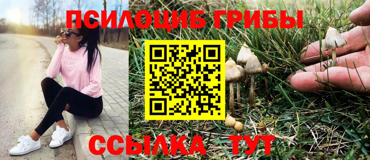 Галлюциногенные грибы мицелий Минеральные Воды