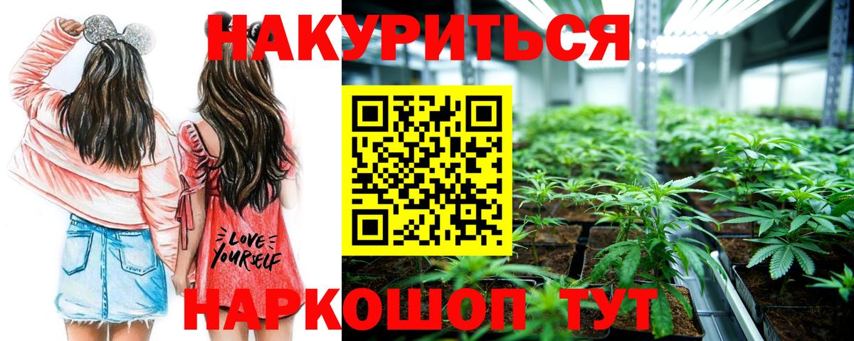 Шишки марихуана конопля  Каннабис марихуана  Минеральные Воды  Вход с VPN 